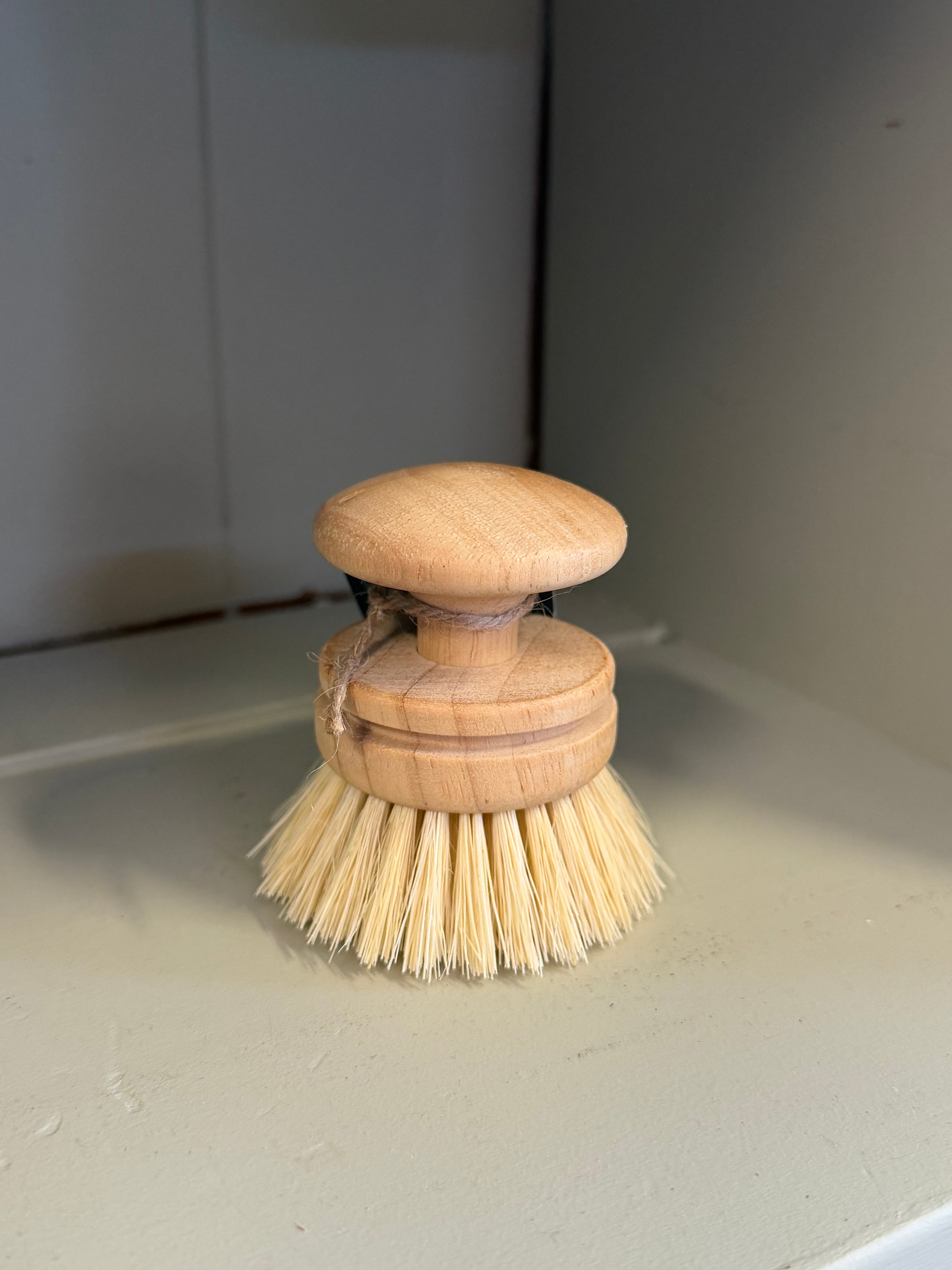 Mini Hand Brush