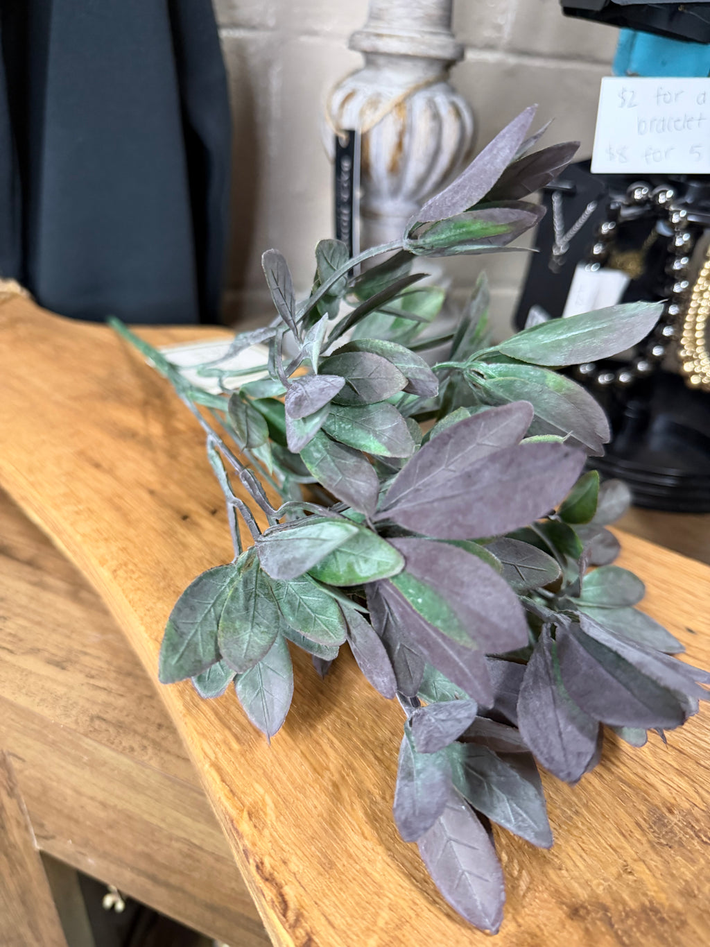 Purple Tipped Leaf Bush
