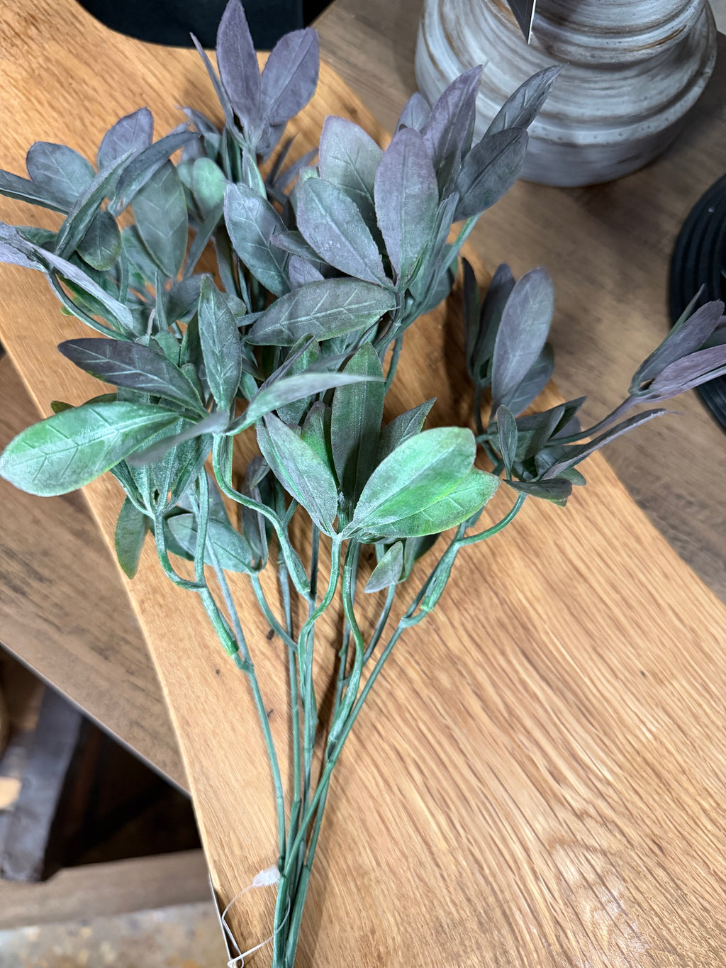 Purple Tipped Leaf Bush