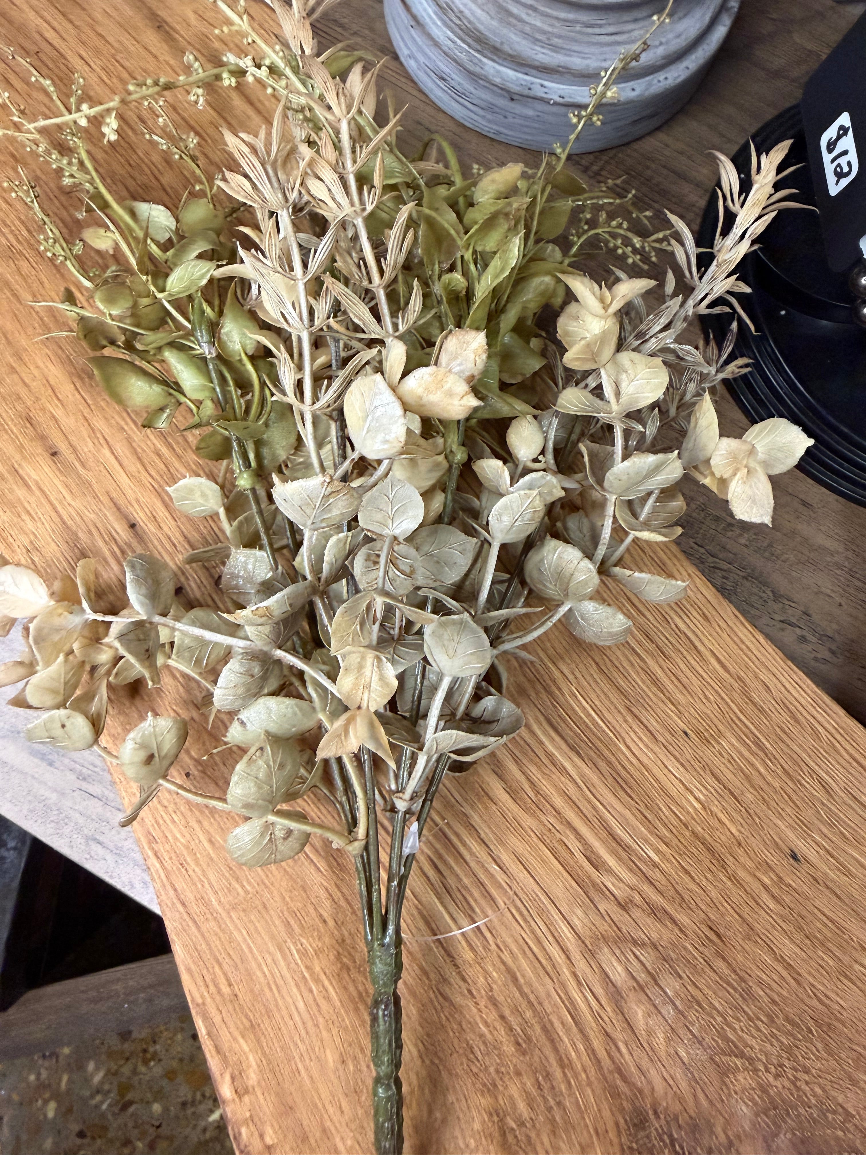 Rosemary & Eucalyptus Sage Brown Knotweed Bush